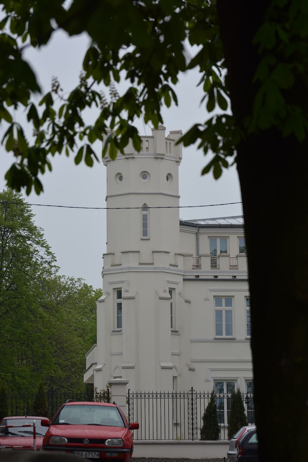 Wnętrze Pałacu w Cianowicach, renowacja historyczna